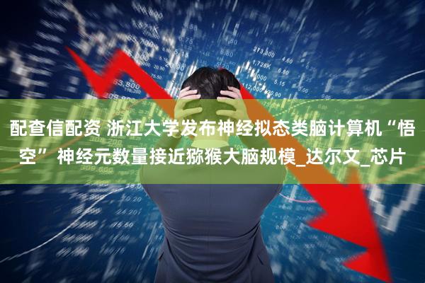 配查信配资 浙江大学发布神经拟态类脑计算机“悟空” 神经元数量接近猕猴大脑规模_达尔文_芯片