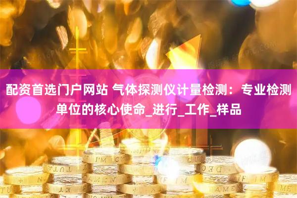 配资首选门户网站 气体探测仪计量检测：专业检测单位的核心使命_进行_工作_样品