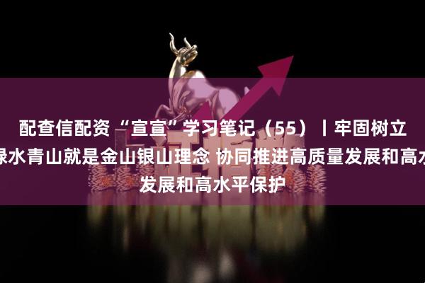 配查信配资 “宣宣”学习笔记（55）丨牢固树立和践行绿水青山就是金山银山理念 协同推进高质量发展和高水平保护