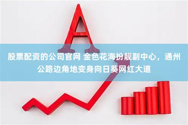 股票配资的公司官网 金色花海扮靓副中心，通州公路边角地变身向日葵网红大道